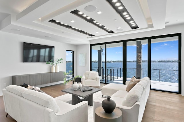 living room with a raised ceiling and light hardwood / wood-style flooring