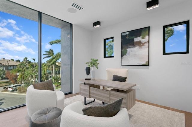 office area with plenty of natural light, light hardwood / wood-style floors, and a wall of windows