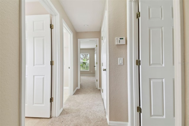 corridor featuring light carpet