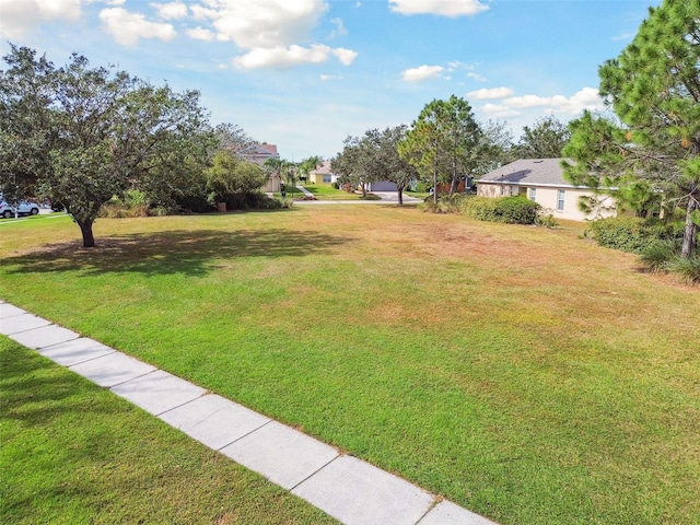 view of yard