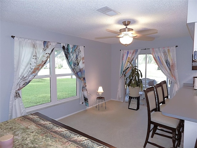 interior space featuring multiple windows, ceiling fan, carpet, and a textured ceiling