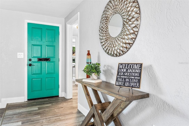 foyer entrance with hardwood / wood-style flooring