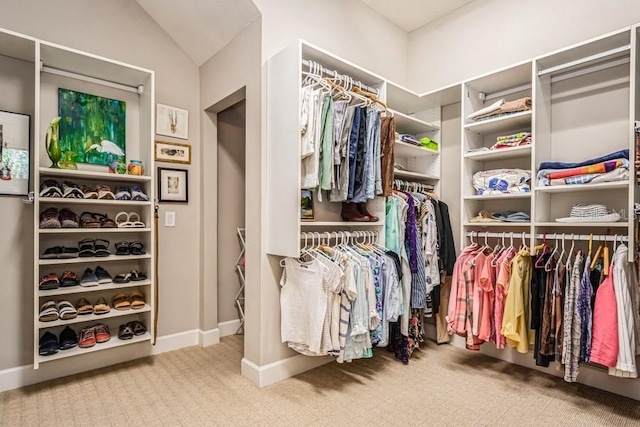 spacious closet featuring carpet