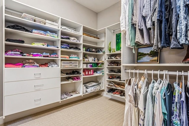 spacious closet with carpet flooring