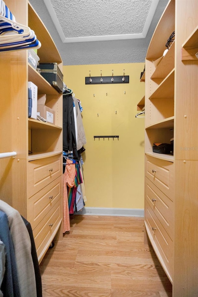 spacious closet featuring light hardwood / wood-style flooring