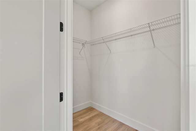 walk in closet with hardwood / wood-style flooring