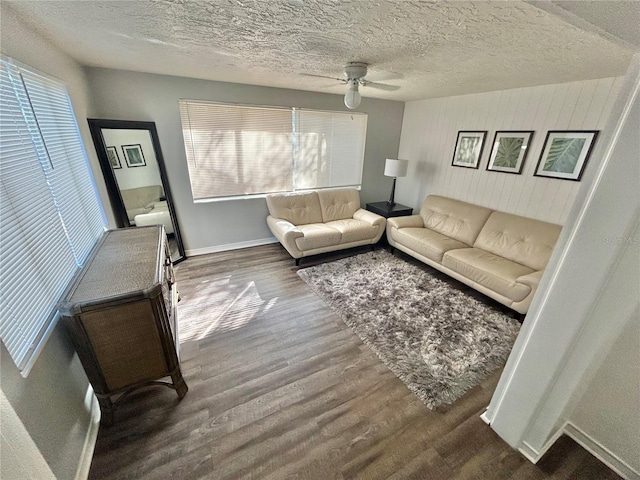 4718 Blossom Dr, Holiday, FL 34690 - photo 5