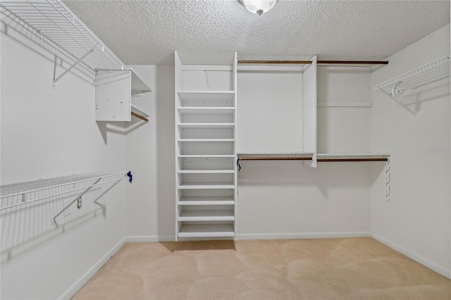 walk in closet featuring light colored carpet