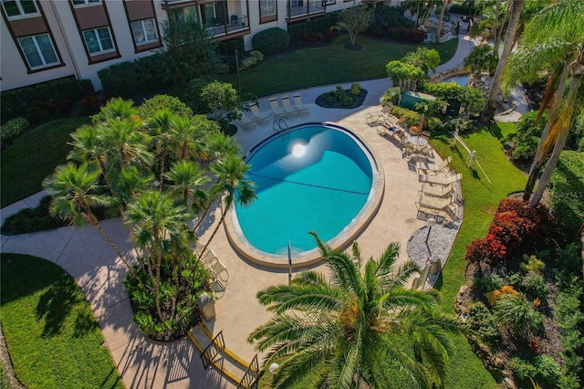 view of swimming pool