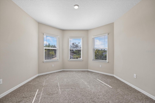 unfurnished room with carpet flooring, plenty of natural light, and a textured ceiling