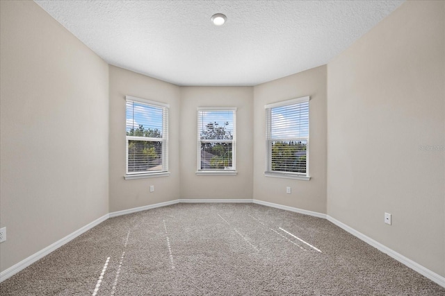 10551 Tranquil Meadow Loop, Riverview, FL 33569 - unfurnished room featuring carpet flooring, plenty of natural light, baseboards, and a textured ceiling