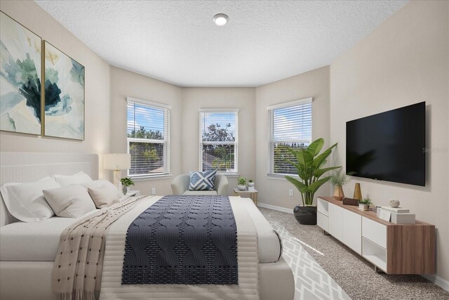 10551 Tranquil Meadow Loop, Riverview, FL 33569 - carpeted bedroom featuring multiple windows, baseboards, and a textured ceiling