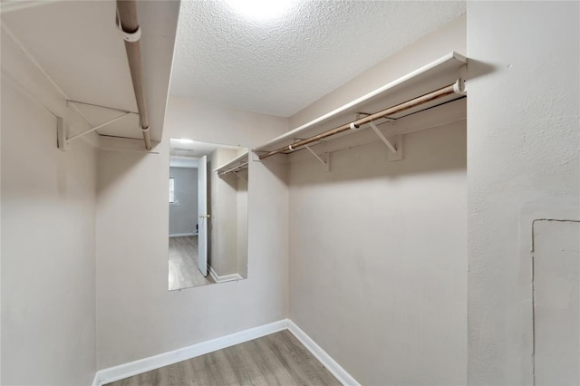 spacious closet featuring hardwood / wood-style flooring