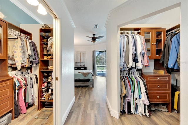 spacious closet with light wood-type flooring and ceiling fan