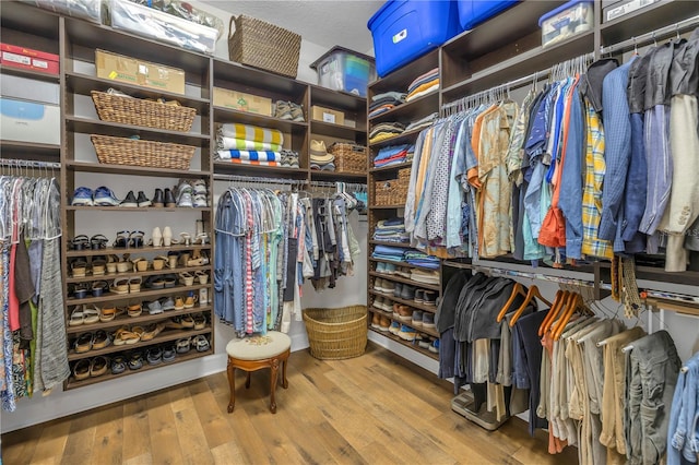 spacious closet with hardwood / wood-style floors