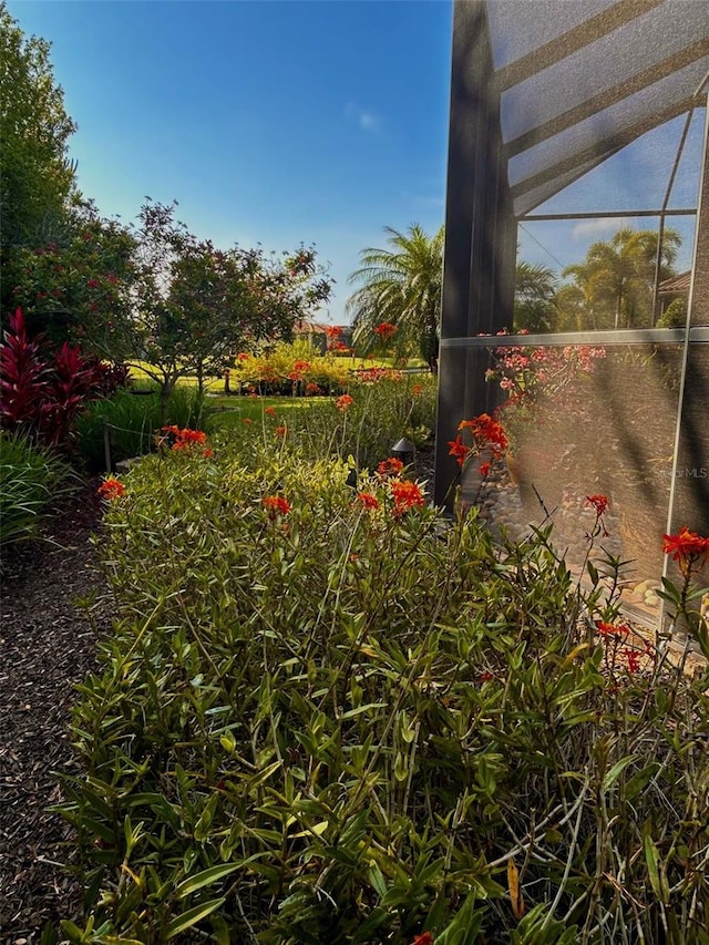 view of yard featuring a lanai