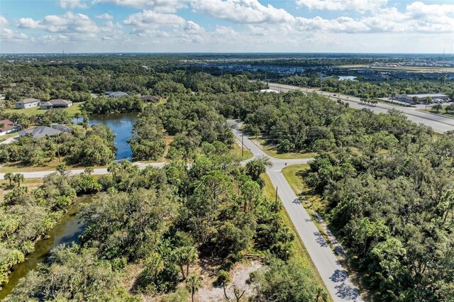 397 Doniphan Dr, Port Charlotte, FL 33954 - drone / aerial view of a large body of water and a forest