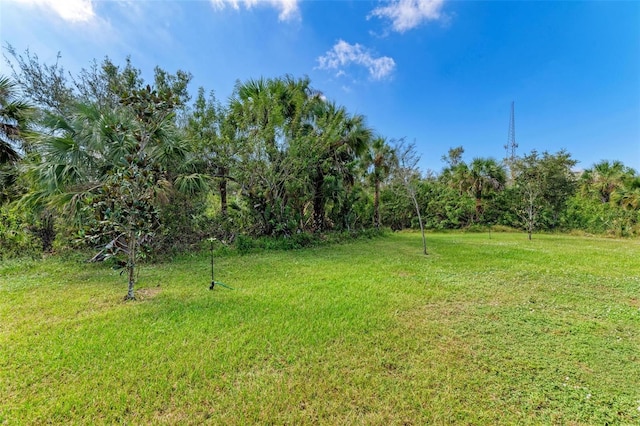 397 Doniphan Dr, Port Charlotte, FL 33954 - view of grassy yard