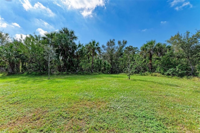 397 Doniphan Dr, Port Charlotte, FL 33954 - view of green lawn
