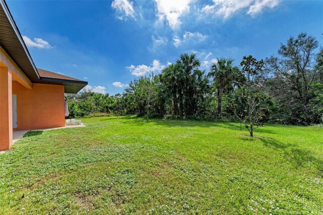 397 Doniphan Dr, Port Charlotte, FL 33954 - view of green lawn