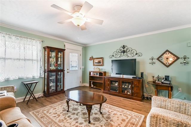 living room with ceiling fan, hardwood / wood-style floors, and ornamental molding