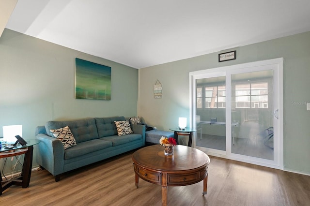 living room with hardwood / wood-style flooring