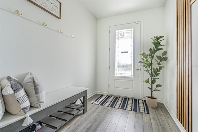 mudroom featuring light hardwood / wood-style floors