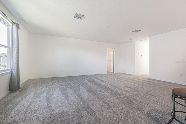 carpeted empty room featuring a healthy amount of sunlight