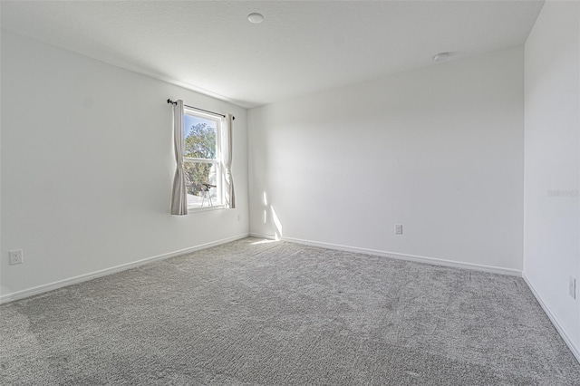 empty room featuring carpet floors