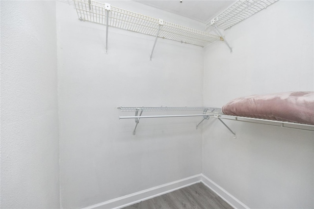 walk in closet featuring hardwood / wood-style flooring