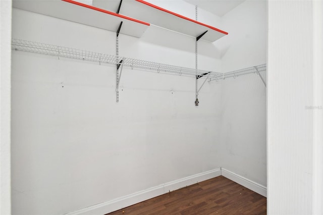 walk in closet featuring dark hardwood / wood-style flooring