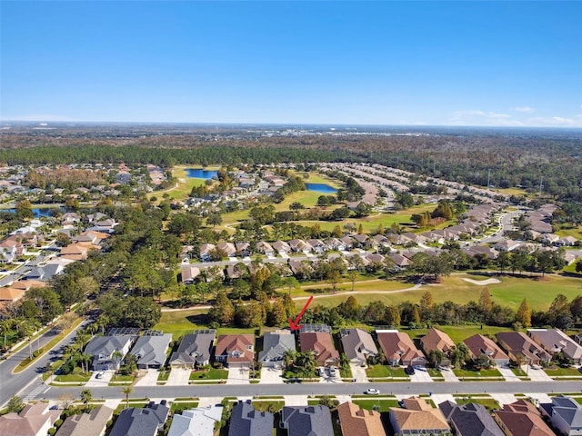 bird's eye view