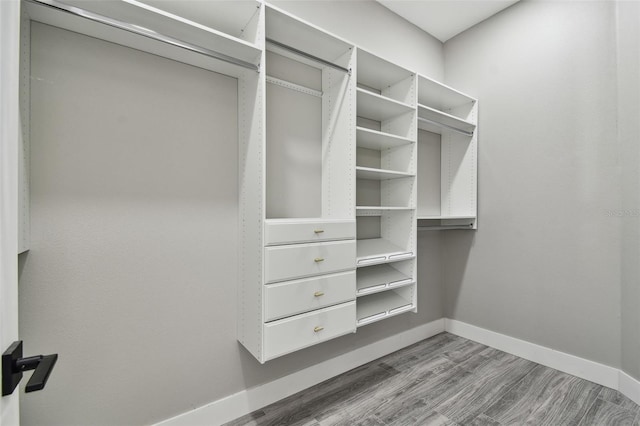 walk in closet featuring hardwood / wood-style floors