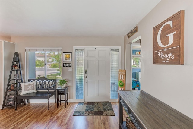 foyer with hardwood / wood-style floors