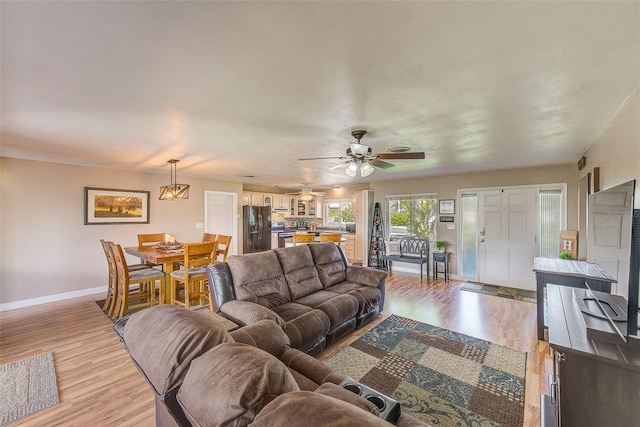 living room featuring ceiling fan and light hardwood / wood-style flooring