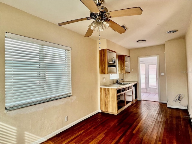 kitchen with ceiling fan, sink, and dark wood-type flooring