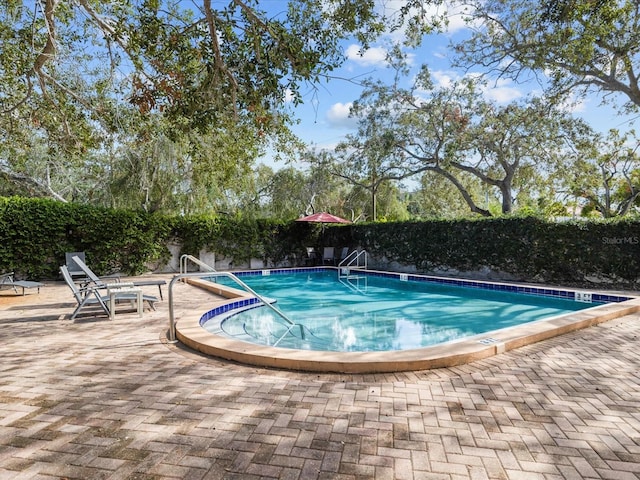 view of pool featuring a patio area