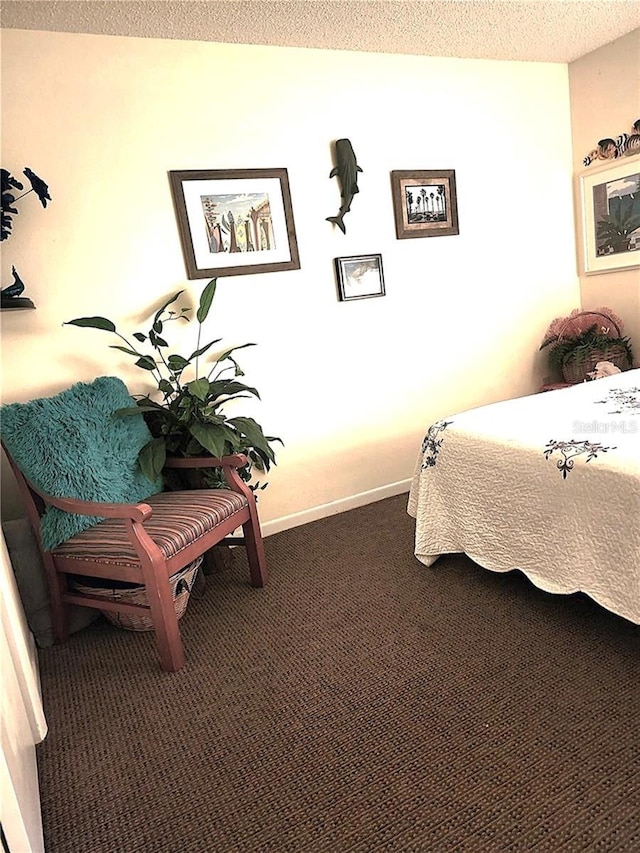 carpeted bedroom with a textured ceiling