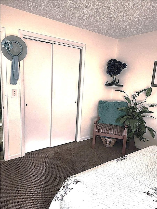 bedroom featuring carpet floors, a closet, and a textured ceiling