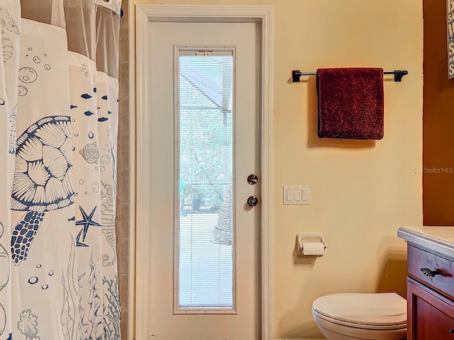 interior space with vanity, a shower with shower curtain, and toilet