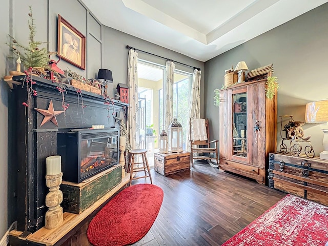 living area featuring hardwood / wood-style floors and a raised ceiling