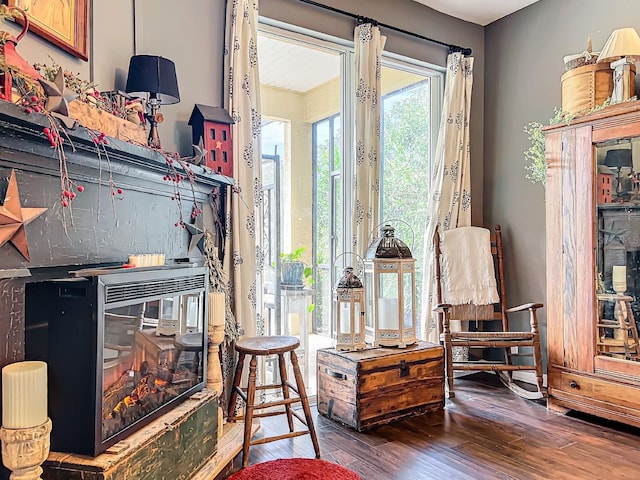 sitting room with dark wood-type flooring