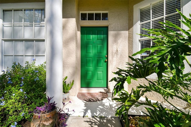 1687 Starling Dr, Tarpon Springs, FL 34689 - doorway to property featuring stucco siding
