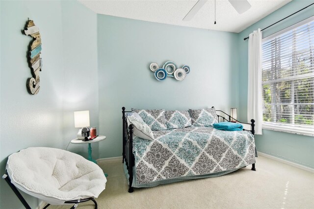 1687 Starling Dr, Tarpon Springs, FL 34689 - bedroom with carpet flooring, baseboards, and multiple windows