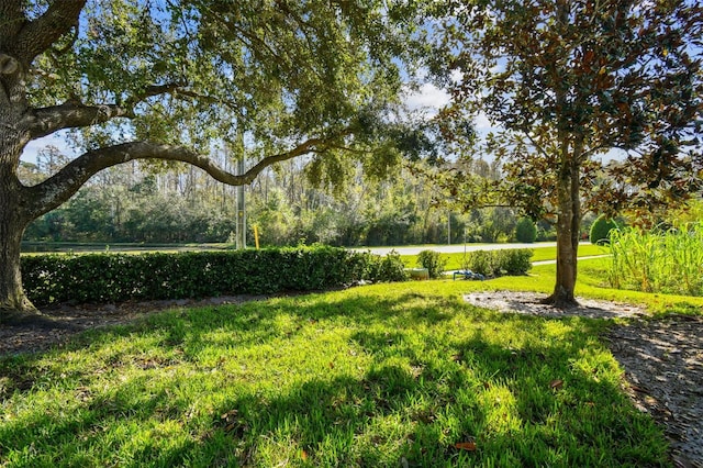 1687 Starling Dr, Tarpon Springs, FL 34689 - view of green lawn