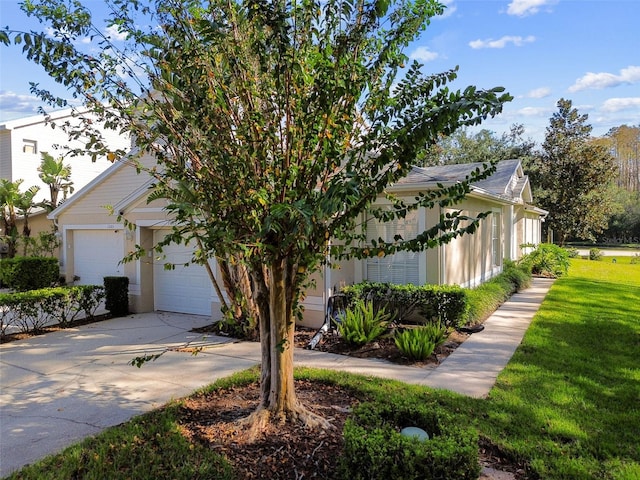1687 Starling Dr, Tarpon Springs, FL 34689 - view of property hidden behind natural elements with driveway, a front lawn, and a garage