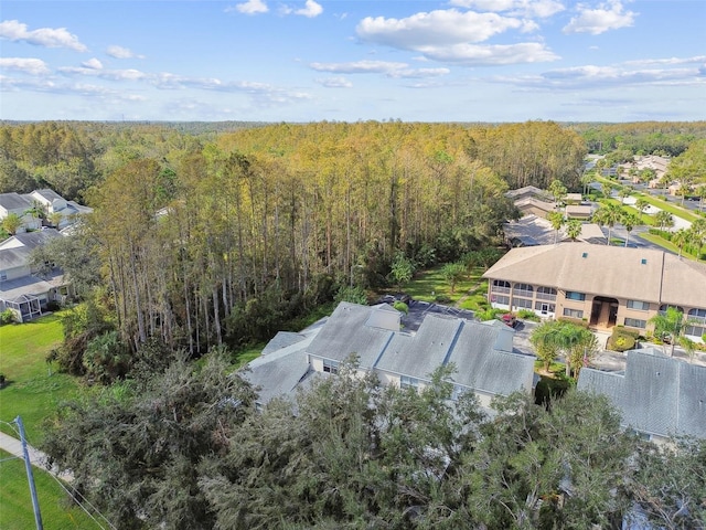 1687 Starling Dr, Tarpon Springs, FL 34689 - bird's eye view of a heavily wooded area