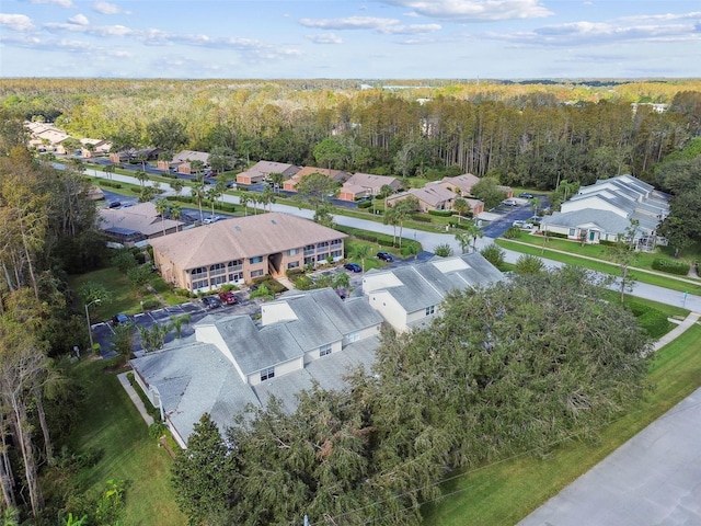 1687 Starling Dr, Tarpon Springs, FL 34689 - aerial perspective of suburban area with a heavily wooded area