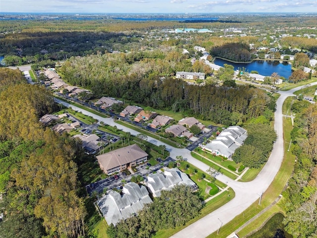 1687 Starling Dr, Tarpon Springs, FL 34689 - aerial view of property's location with a forest, a large body of water, and nearby suburban area