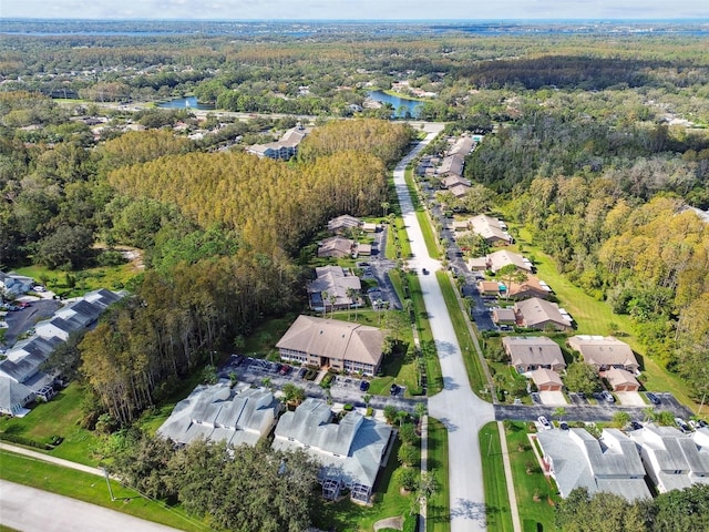 1687 Starling Dr, Tarpon Springs, FL 34689 - view of property location with a forest, nearby suburban area, and a nearby body of water